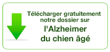 Dossier alzheimer chien