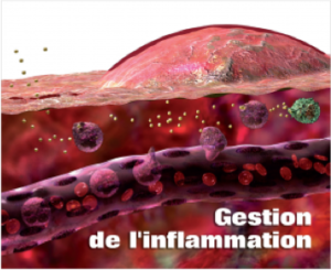 gestion de l'Inflammation