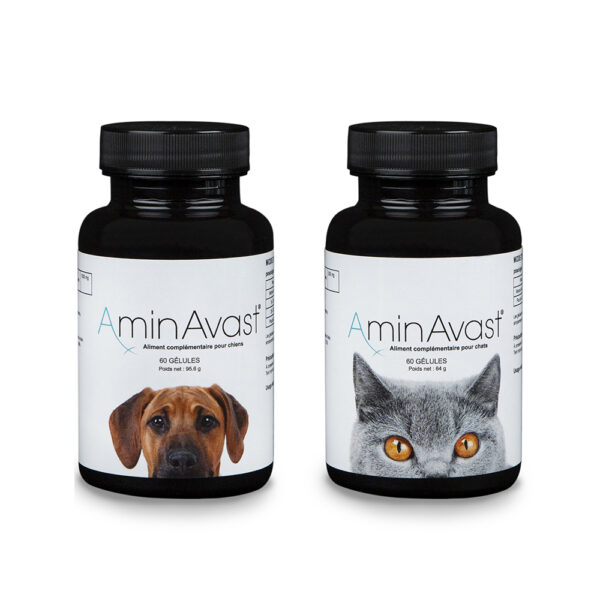 AminAvast pour le chat et le chien